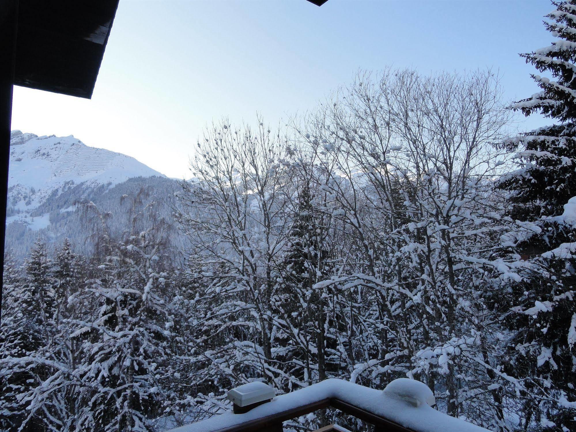 Hotel Alpenruhe - Vintage Design Hotel Wengen Luaran gambar